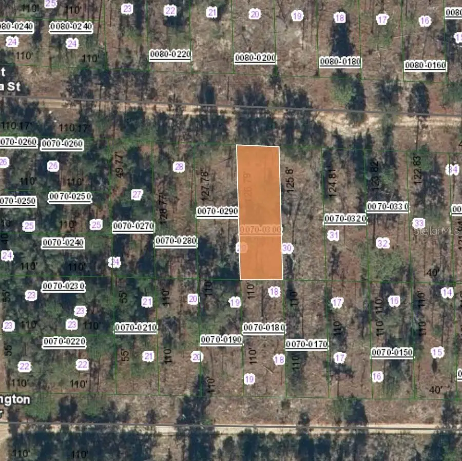 129 West Virginia Street, Hawthorne, FL 32640 - Image #1