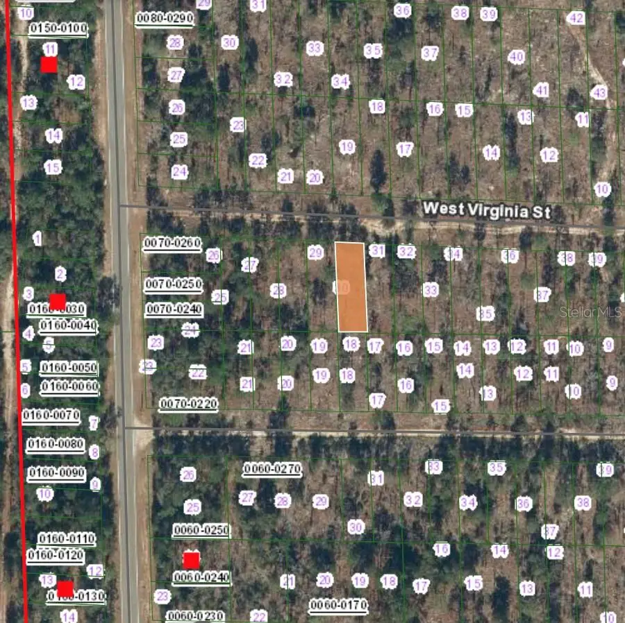 127 West Virginia Street, Hawthorne, FL 32640 - Image #2