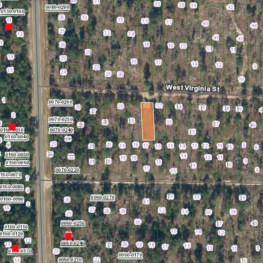 125 West Virginia Street, Hawthorne, FL 32640 - Image #2
