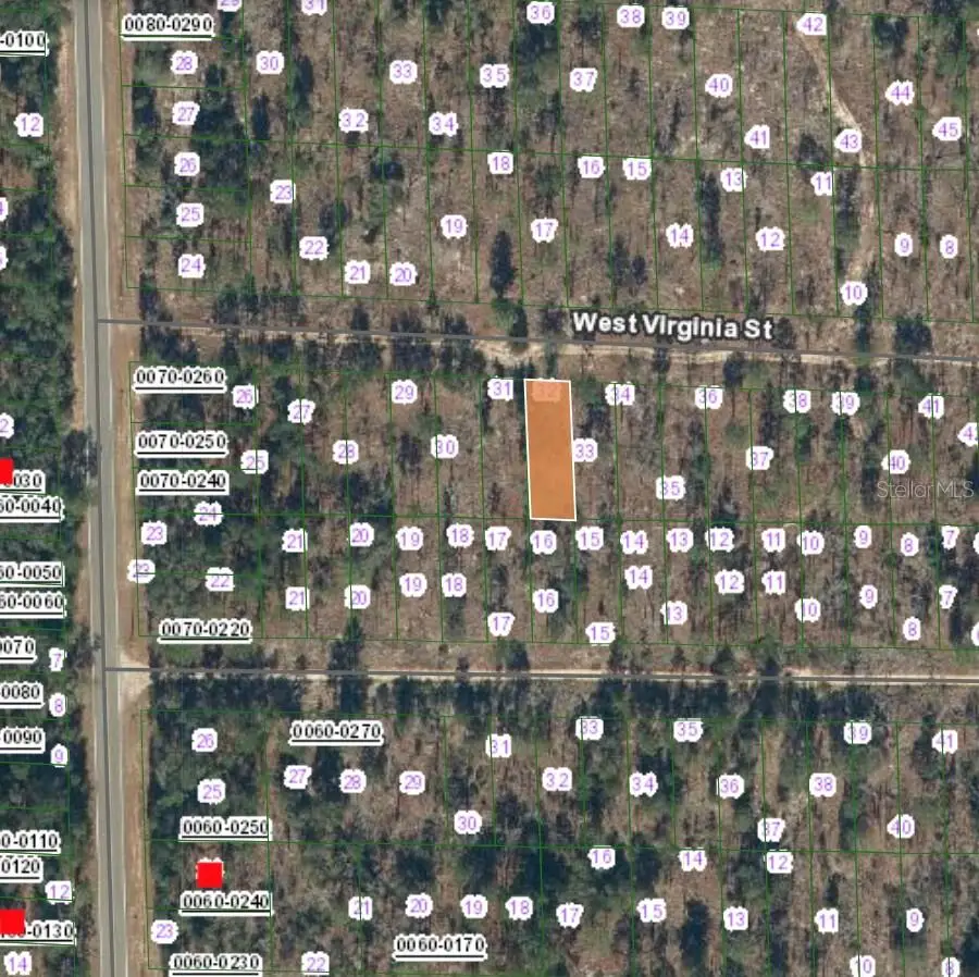 123 West Virginia Street, Hawthorne, FL 32640 - Image #2