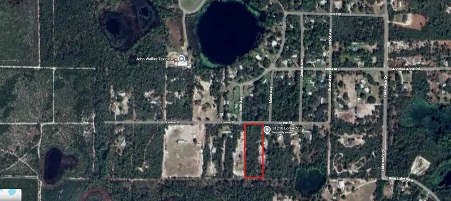 31217 Lorine Street, Deland, FL 32720 - Image #2