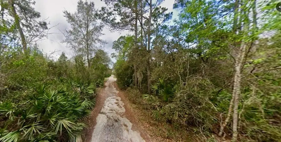 31217 Lorine Street, Deland, FL 32720 - Image #3