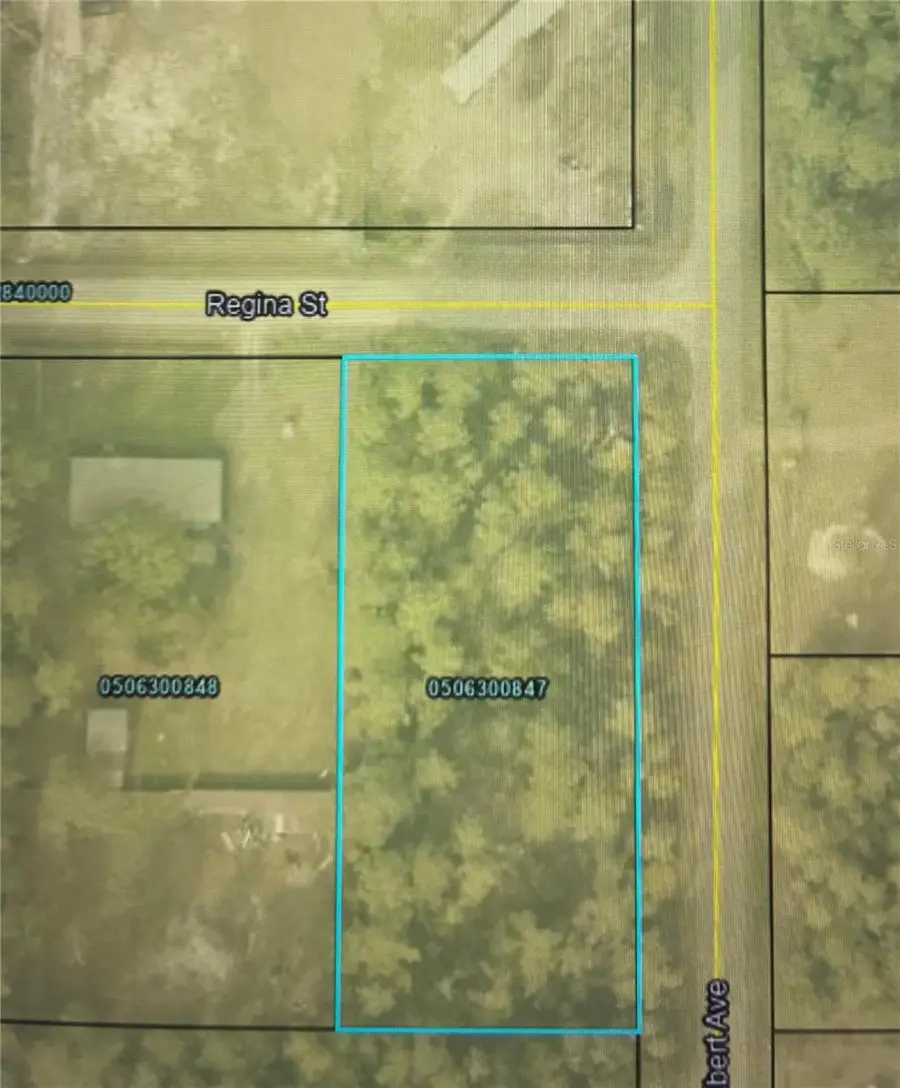 4205 Regina Street, Hastings, FL 32145 - Image #2