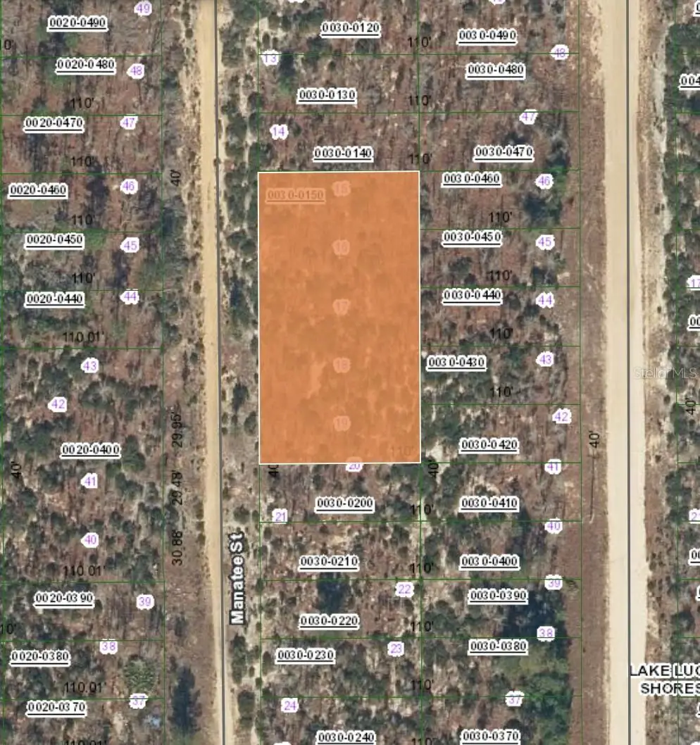 XX Manatee Street, Interlachen, FL 32148 - #1