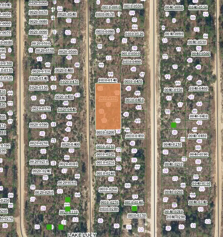 XX Manatee Street, Interlachen, FL 32148 - #2