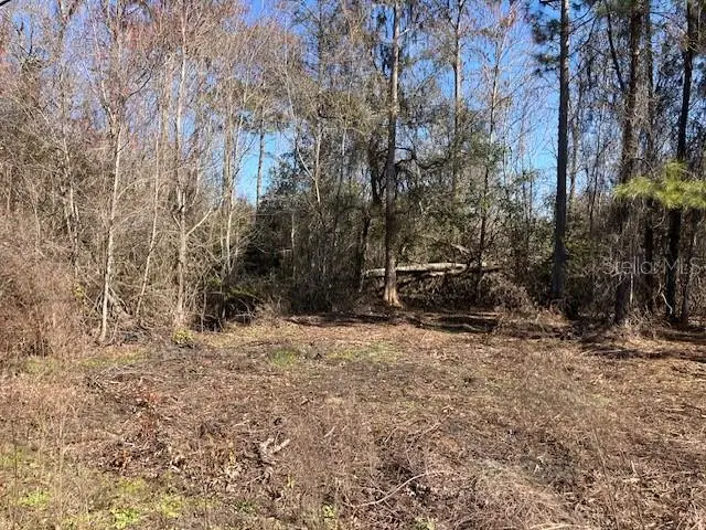 1881 Hazelnut Street, Bunnell, FL 32110 - Image #1