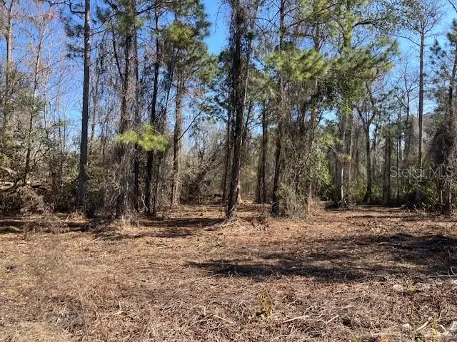 1881 Hazelnut Street, Bunnell, FL 32110 - Image #3