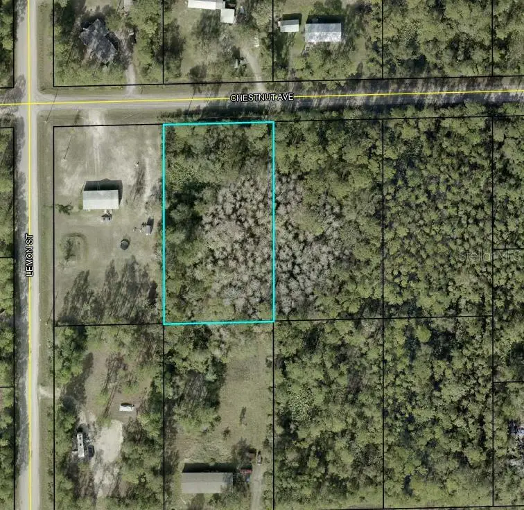 5603 Chestnut Avenue, Bunnell, FL 32110 - #1