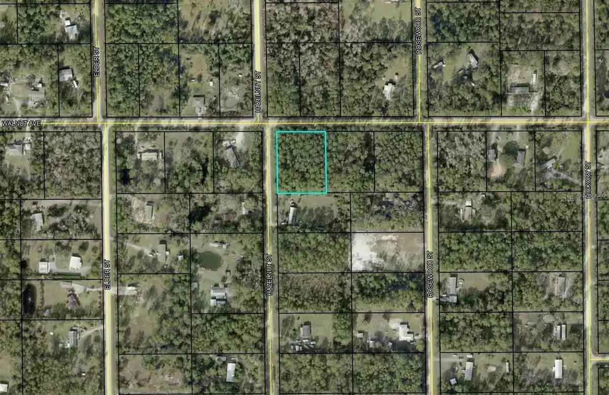 4681 Walnut Avenue, Bunnell, FL 32110 - Image #1