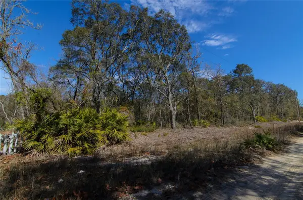 206 Tall Pine Trail, SATSUMA, FL 32189