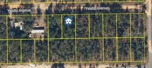 111 Yeatts Avenue, INTERLACHEN, FL 32148