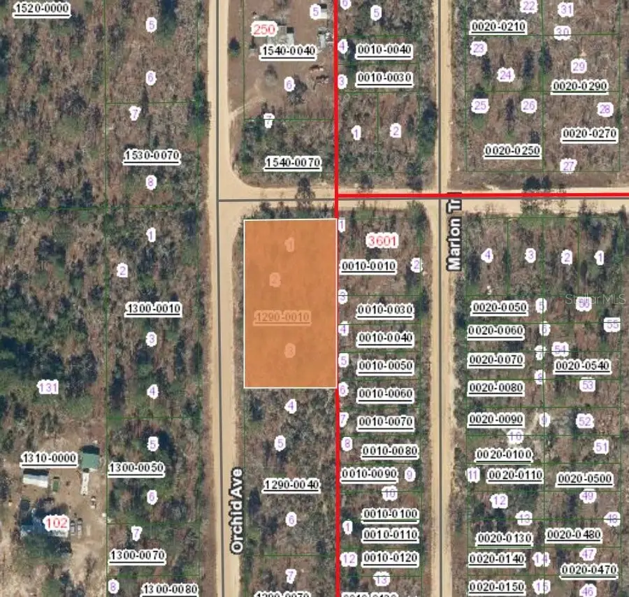 XX Orchid Avenue, Interlachen, FL 32148 - #2