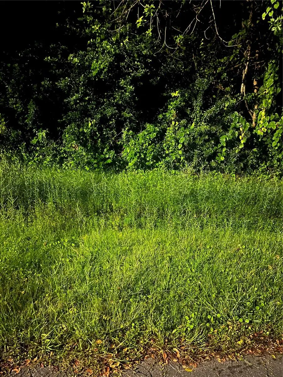 814 Massy Court, Poinciana, FL 34759 - #1