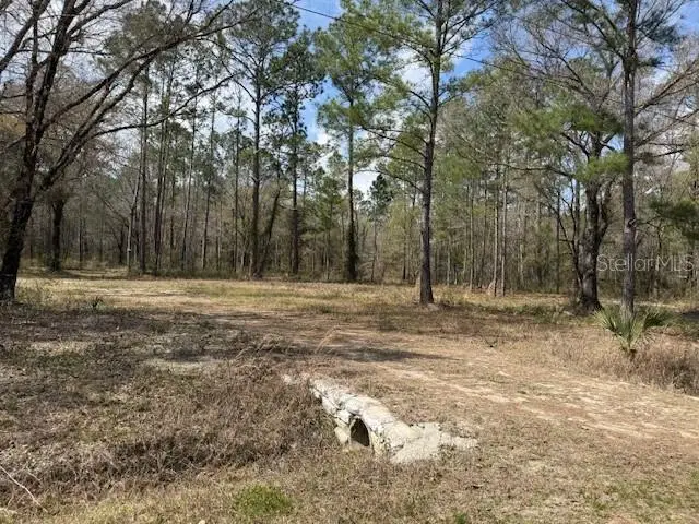 10055 Flikkema Avenue, Hastings, FL 32145 - #2