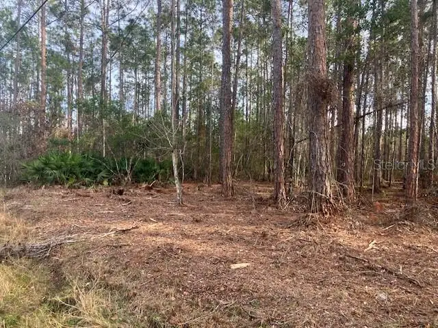 4515 Mahogany Boulevard, Bunnell, FL 32110 - #1