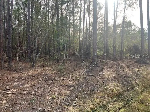 4515 Mahogany Boulevard, Bunnell, FL 32110 - #3