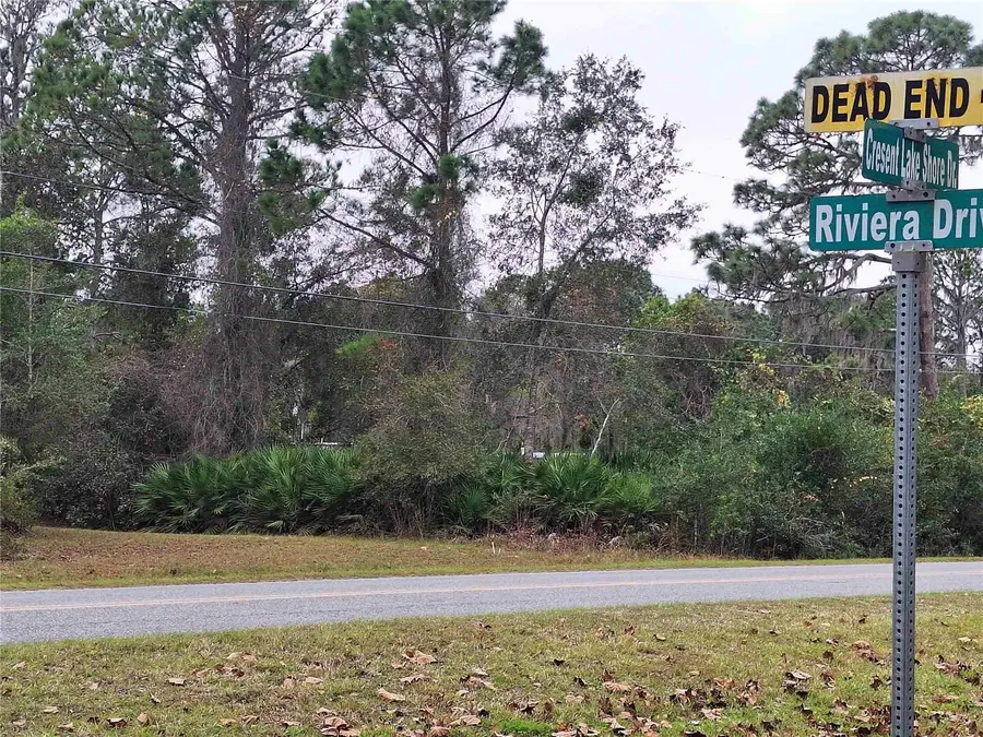 203 Crescent Lake Shore Drive, Crescent City, FL 32112 - #3