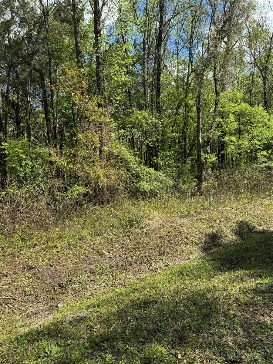 10140 Yeager Avenue, Hastings, FL 32145 - #1