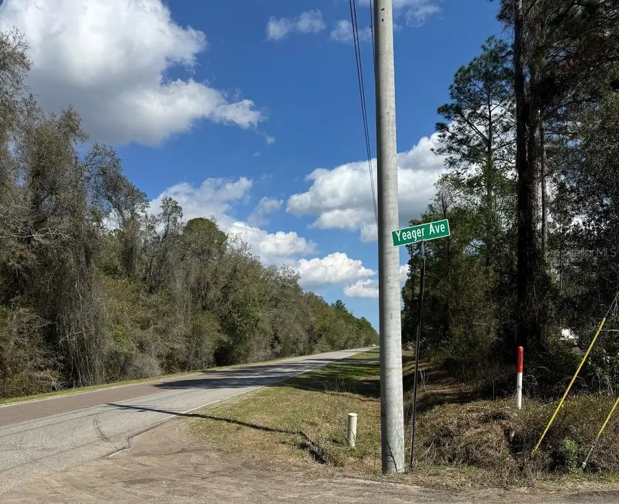 10140 Yeager Avenue, Hastings, FL 32145 - #3