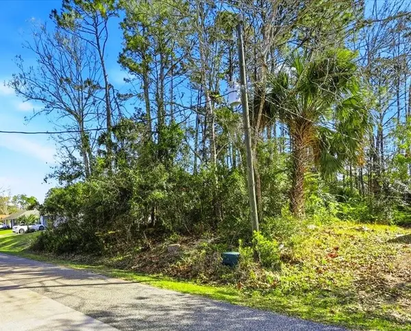 40 Brushwood Lane, PALM COAST, FL 32137