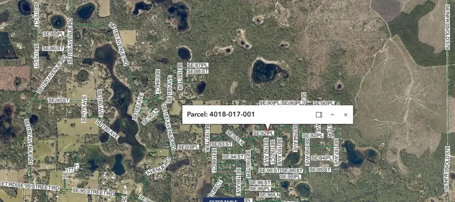 SE 92 Place, Ocklawaha, FL 32179 - #2