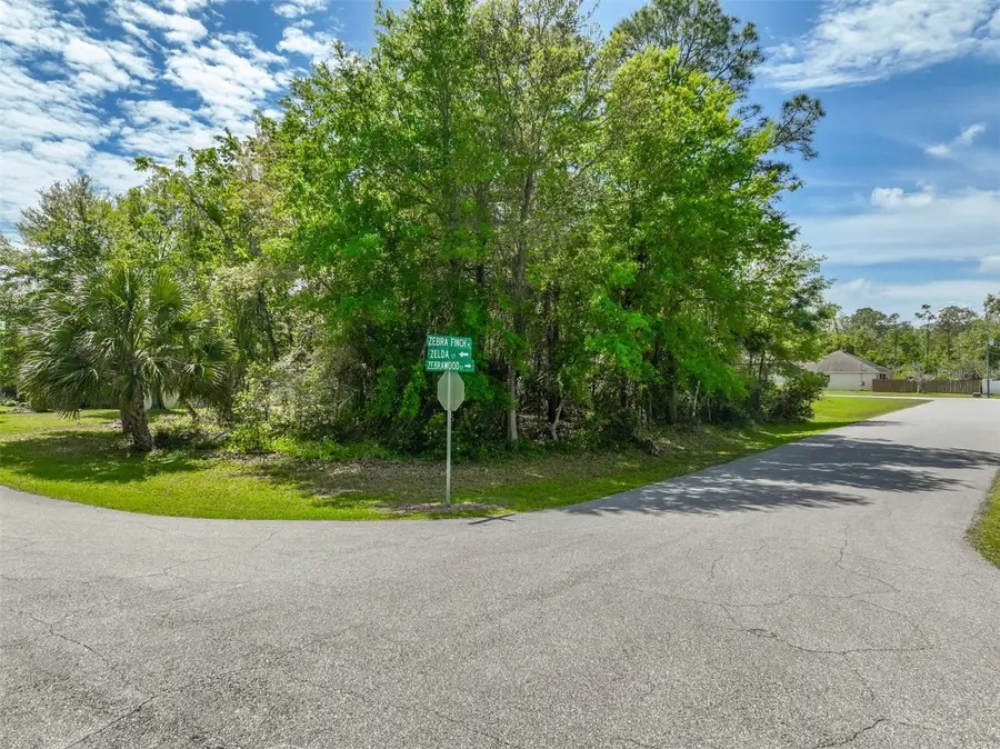 2 Zelda Court, Palm Coast, FL 32164 - #3