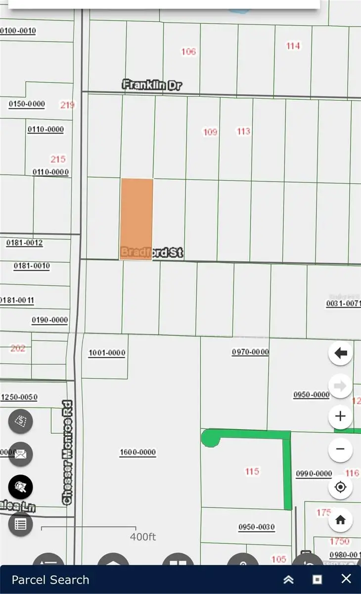 104 Bradford Street, Hawthorne, FL 32640 - #3