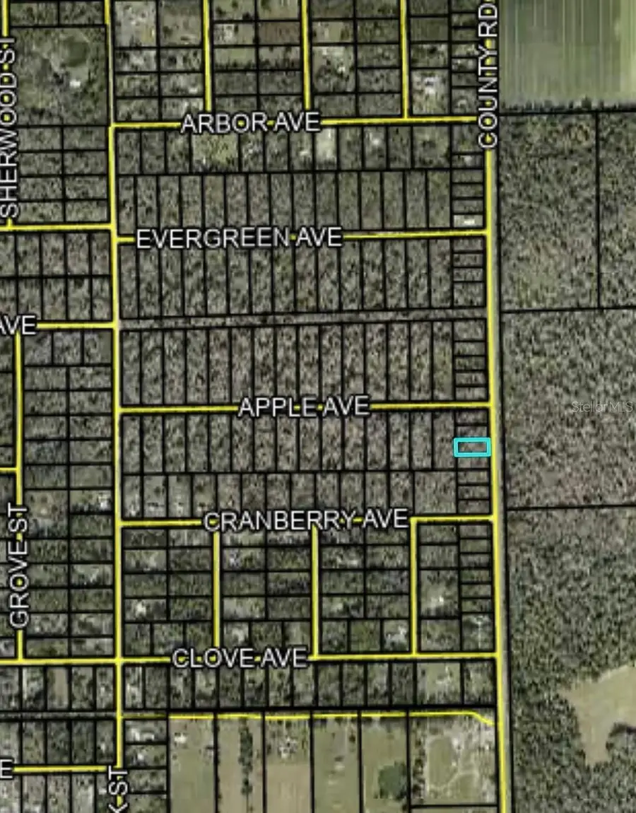 2166 Cr-305, Bunnell, FL 32110 - #2