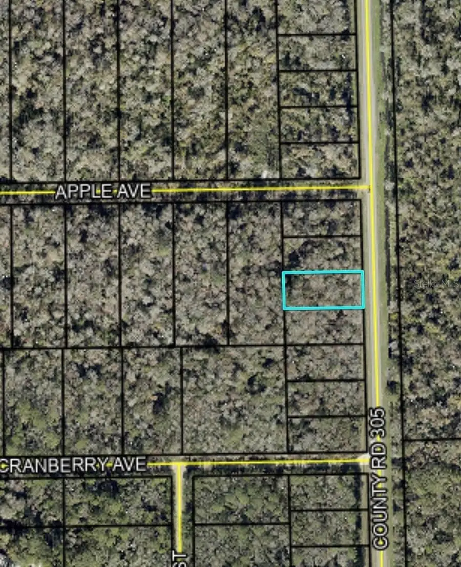 2166 Cr-305, Bunnell, FL 32110 - #3