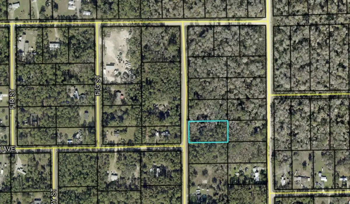 2157 Grove Street, Bunnell, FL 32110 - #1