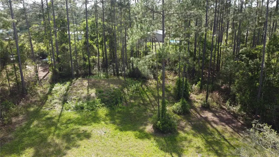 10205 Baylor Avenue, Hastings, FL 32145 - #3