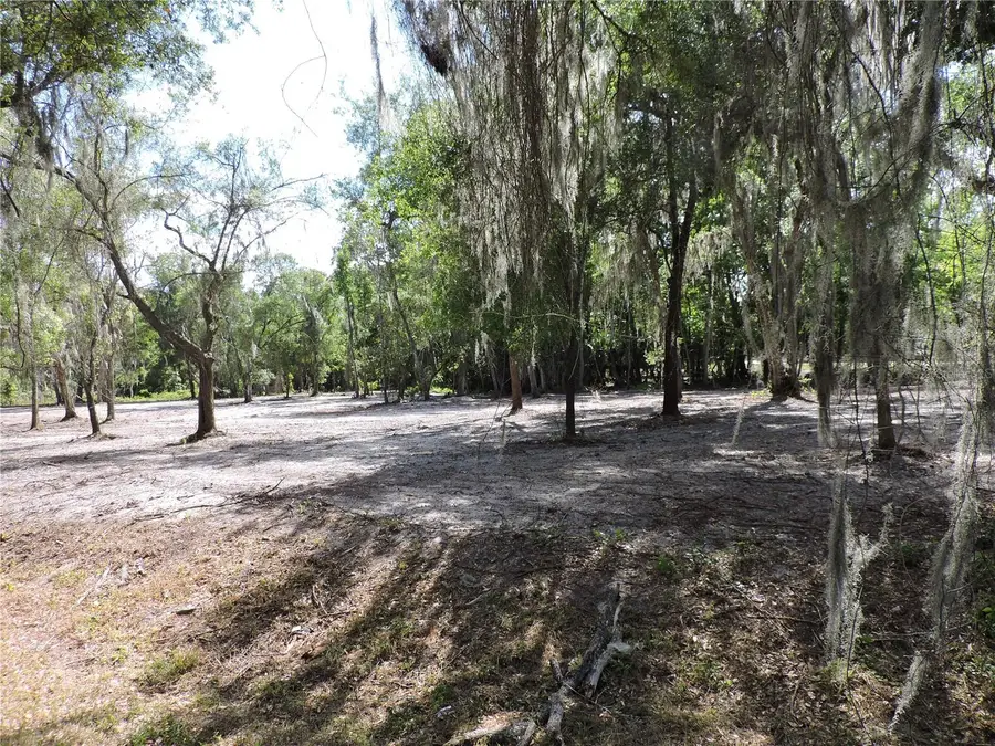 County Road 309, Crescent City, FL 32112 - #2