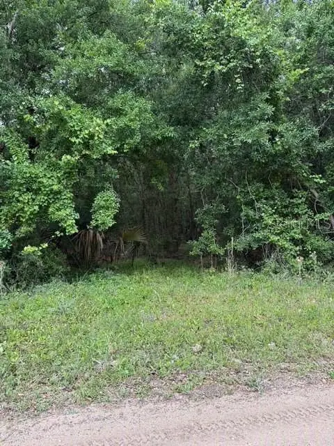 190 Catherine Street, BUNNELL, FL 32110