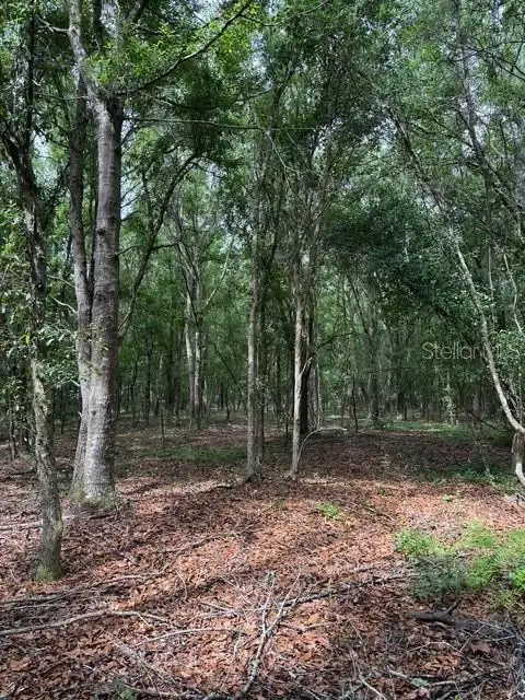 190 Catherine Street, Bunnell, FL 32110 - #3