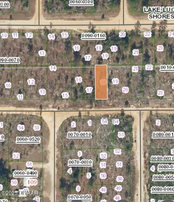 152 1st Avenue, Interlachen, FL 32148 - #3