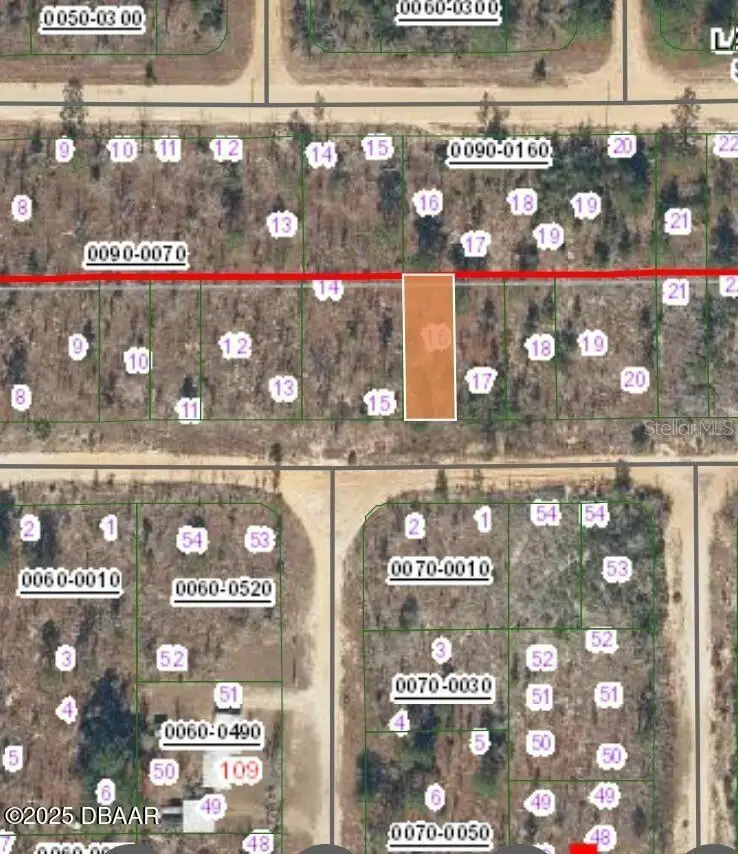 156 1st Avenue, Interlachen, FL 32148 - #3