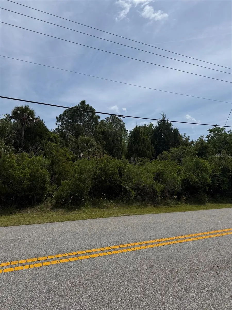 174 Bird Of Paradise Drive, Palm Coast, FL 32137 - #2