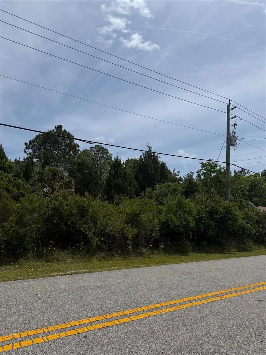 174 Bird Of Paradise Drive, Palm Coast, FL 32137 - #3