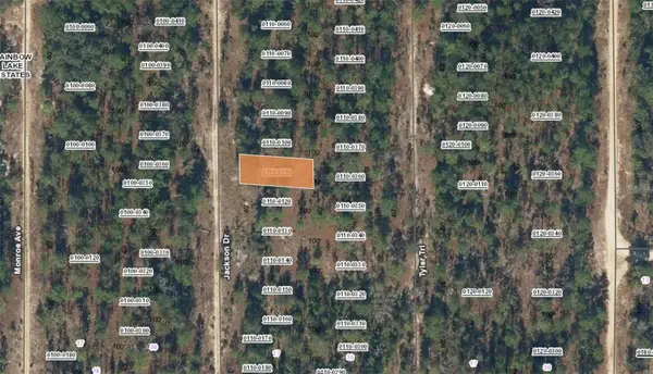 XX Jackson Drive, HAWTHORNE, FL 32640