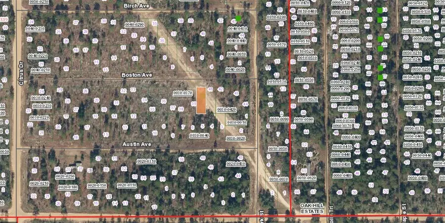 XX Boston Ave, Interlachen, FL 32148 - #2