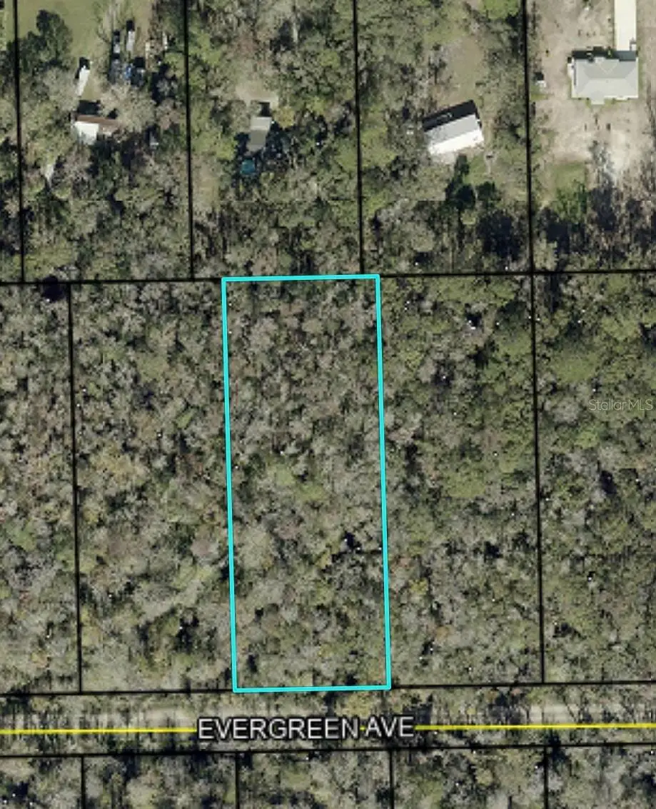 3740 Evergreen Avenue, Bunnell, FL 32110 - #1