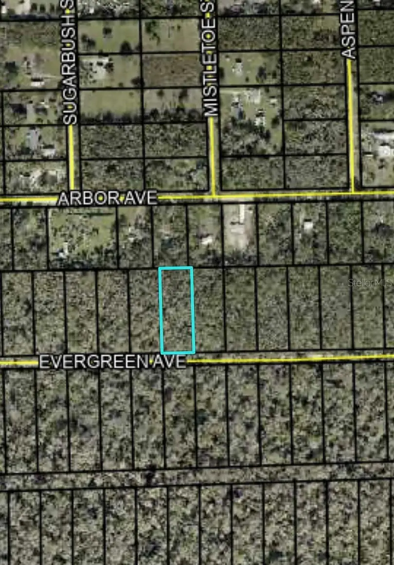 3740 Evergreen Avenue, Bunnell, FL 32110 - #3