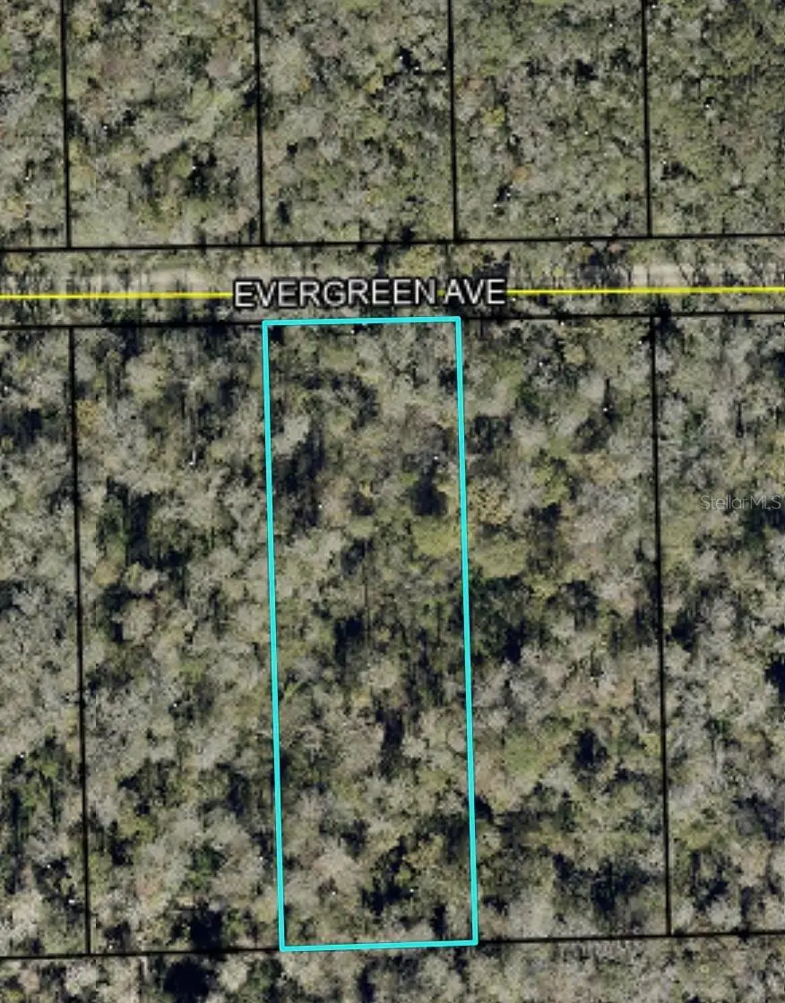 3741 Evergreen Avenue, Bunnell, FL 32110 - #1