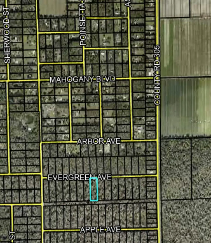 3741 Evergreen Avenue, Bunnell, FL 32110 - #3