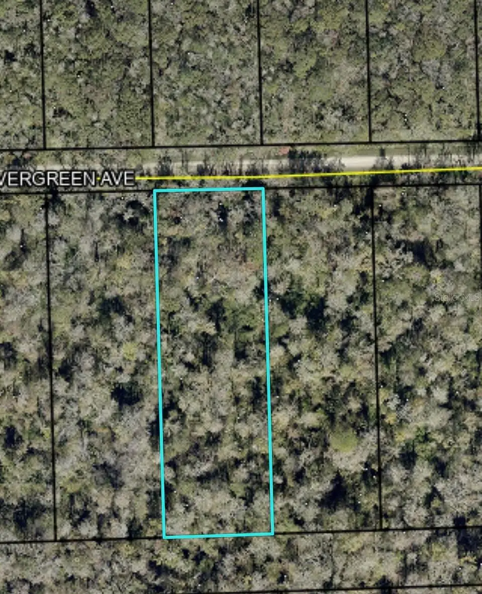 3655 Evergreen Avenue, Bunnell, FL 32110 - #1