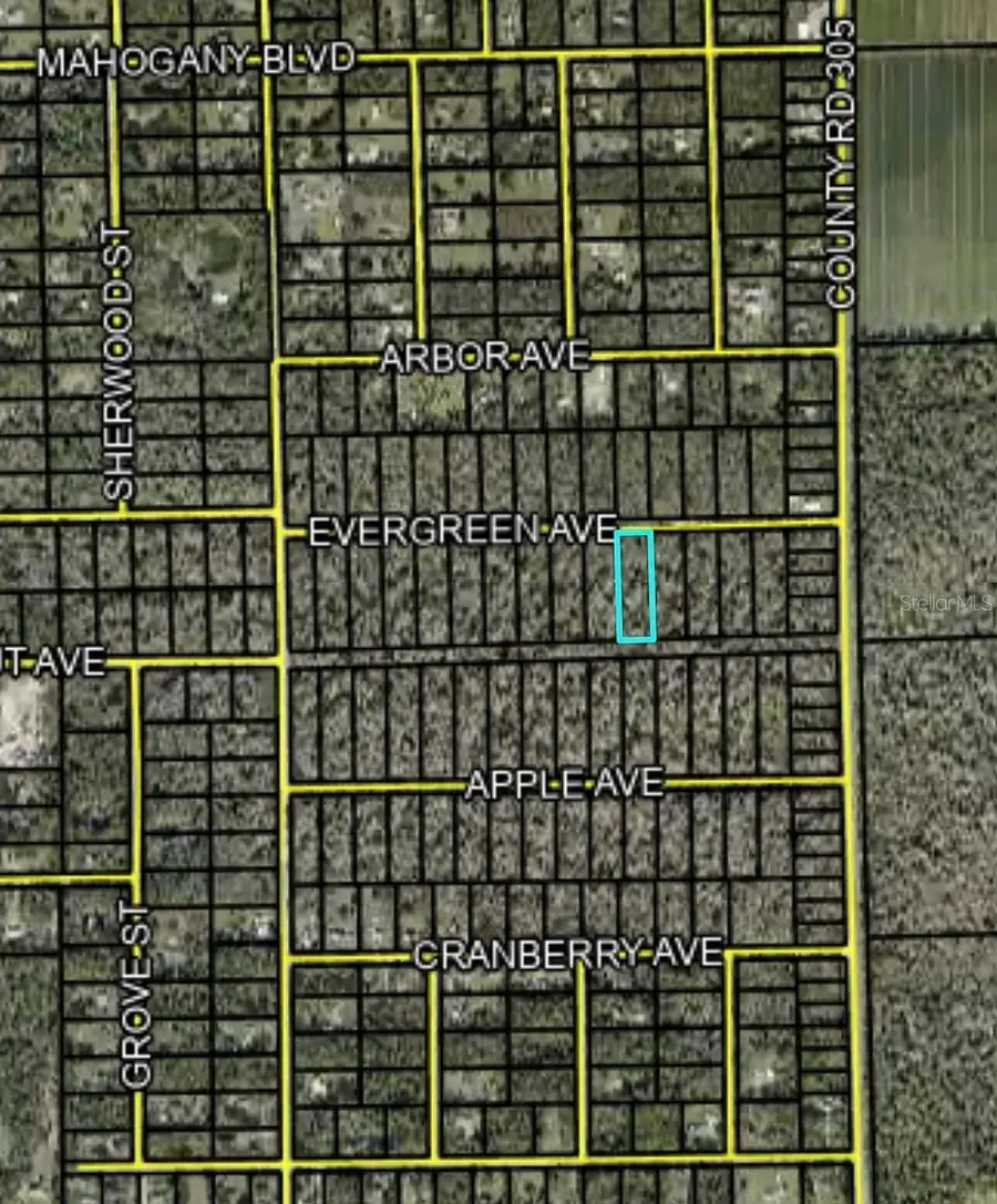 3655 Evergreen Avenue, Bunnell, FL 32110 - #3