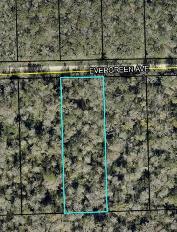 3599 Evergreen Avenue, BUNNELL, FL 32110