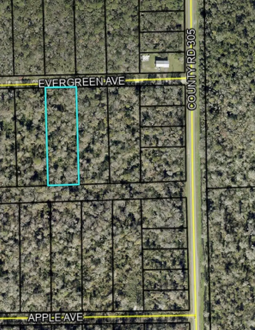 3599 Evergreen Avenue, Bunnell, FL 32110 - #2
