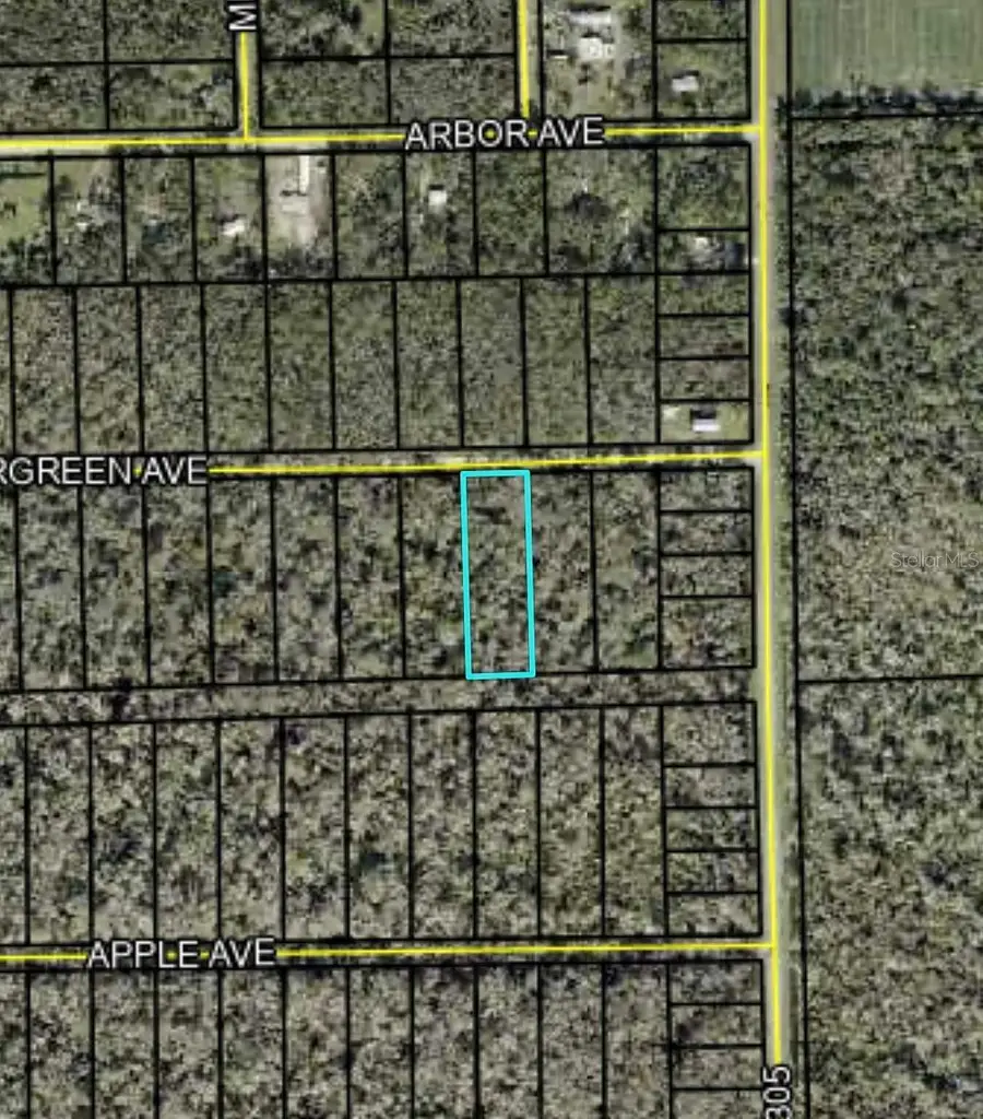 3599 Evergreen Avenue, Bunnell, FL 32110 - #3