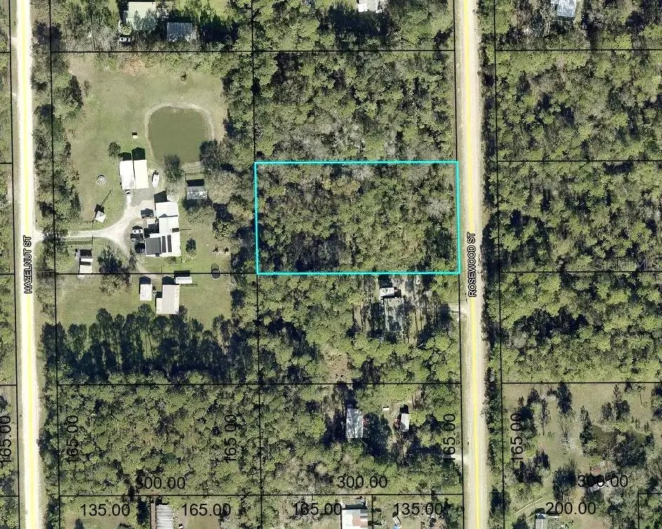 1352 Rosewood Street, Bunnell, FL 32110 - #1